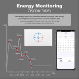 Smart Wifi Geyser Switch